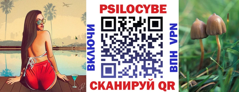 наркошоп  Александровск-Сахалинский  МЕГА рабочий сайт  Псилоцибиновые грибы прущие грибы 